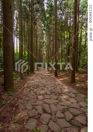 （静岡県）山中城址付近の箱根旧街道石畳 90666152