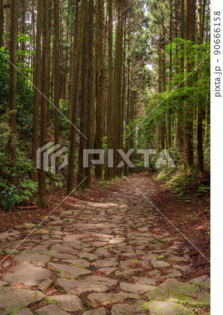 （静岡県）山中城址付近の箱根旧街道石畳 90666158