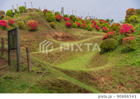 （静岡県）ツツジ咲く山中城址公園　美しい堀 90666543
