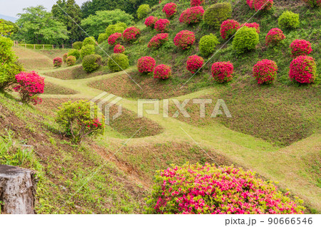 （静岡県）ツツジ咲く山中城址公園　美しい堀 90666546