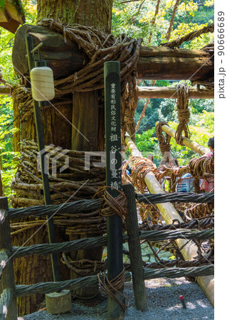 徳島　かづら橋 90666689