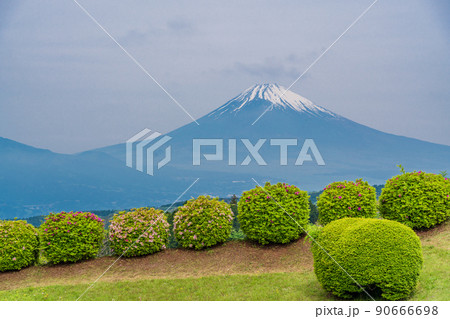 （静岡県）新緑が美しい山中城址公園　後方に富士山 90666698
