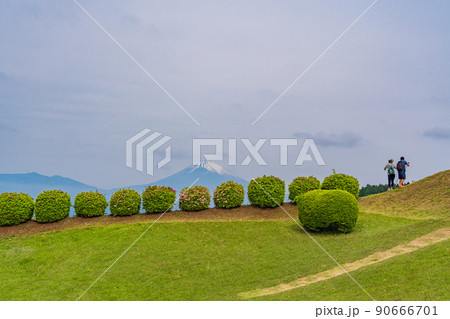 （静岡県）新緑が美しい山中城址公園　後方に富士山 90666701