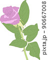 春に咲く、とても薔薇らしい薔薇 90667008