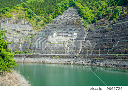 法面 有馬ダム 名栗湖 湖畔 春 新緑の風景 法面 有馬ダム 名栗湖 湖畔 春 新緑の風景 90667264