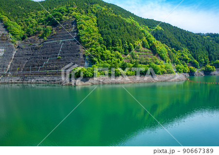 法面　有馬ダム　名栗湖　湖畔　春　新緑の風景 90667389