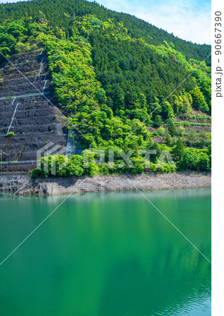法面　有馬ダム　名栗湖　湖畔　春　新緑の風景 90667390