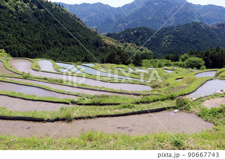 丸山千枚田の絶景3 90667743