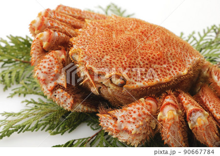 北海道近海(オホーツク)産のボイル毛蟹 90667784