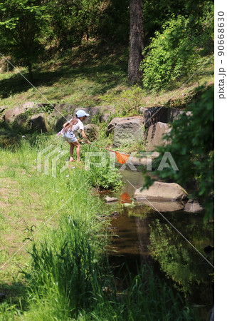 2021日本で一番幸せな町に選ばれた埼玉県鳩山町の農村公園内の緑豊かな清流に来て網で魚取りをする少女 2021日本で一番幸せな町に選ばれた埼玉県鳩山町の農村公園内の緑豊かな清流に来て網で魚取りをする少女 90668630
