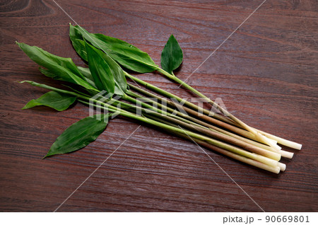 みょうがたけ 90669801