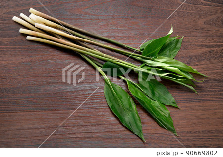 みょうがたけ 90669802