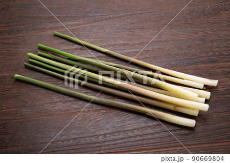 みょうがたけ 90669804