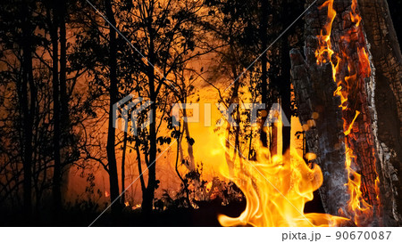 Wildfire disaster in tropical forest caused by human 90670087