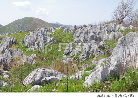 春の秋吉台カルスト台地の景色 90671795