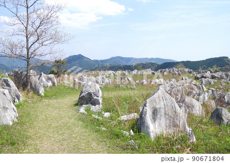 春の秋吉台登山道の景色 春の秋吉台登山道の景色 90671804