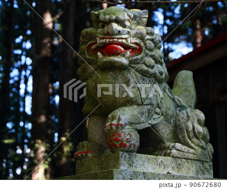 神社の守護獣狛犬阿形 90672680