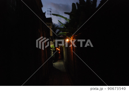 夜の路地裏(ウブド/バリ島・インドネシア) 夜の路地裏(ウブド/バリ島・インドネシア) 90673540