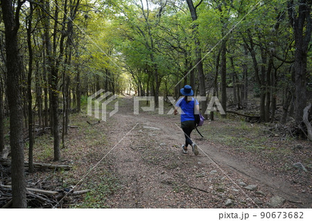 テキサス州サンアントニオ 公園 散策 テキサス州サンアントニオ 公園 散策 90673682