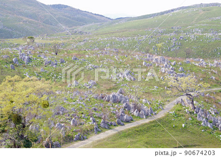 春の秋吉台カルスト台地の景色 春の秋吉台カルスト台地の景色 90674203