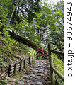 女夫渕から奥鬼怒温泉への登山道 90674943