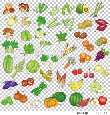 食材〜野菜とフルーツ〜 90675934