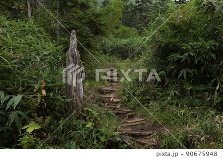 長野県富山県にある日本百名山の白馬岳への白馬大池経由のルートの栂池山荘と天狗原の間の階段 長野県富山県にある日本百名山の白馬岳への白馬大池経由のルートの栂池山荘と天狗原の間の階段 90675948