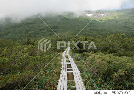 長野県富山県にある日本百名山の白馬岳への白馬大池経由のルートの天狗原の木道と雪渓 90675954