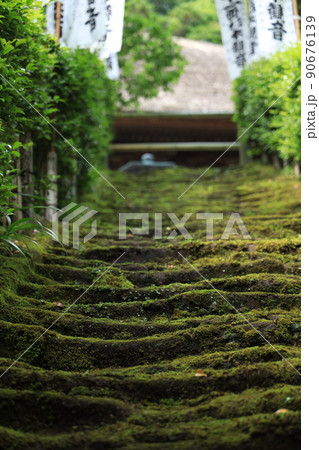 鎌倉杉本寺の苔石段の写真素材