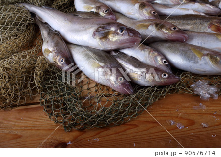 Saffron cod on net 90676714