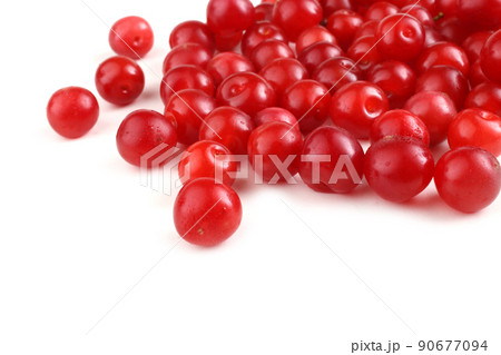 Nanking cherry isolated on white Nanking cherry isolated on white 90677094