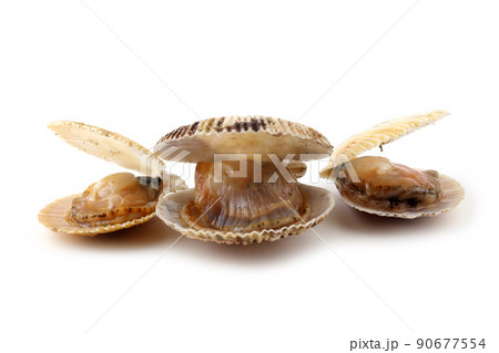 Opened scallops 90677554