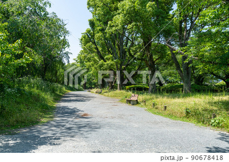 《福岡県》福岡城跡と福岡城跡から見た福岡市の風景（舞鶴公園・鴻臚館） 90678418