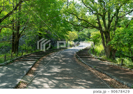 《福岡県》福岡城跡と福岡城跡から見た福岡市の風景（舞鶴公園・鴻臚館） 90678429