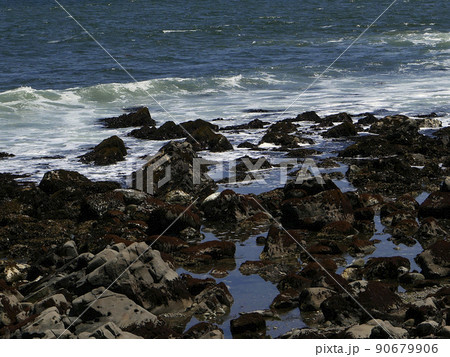 初夏、太平洋の海辺をツーリング。浜風に乗ってぷーんと磯の臭いが漂ってきた。穏やかな一日。 初夏、太平洋の海辺をツーリング。浜風に乗ってぷーんと磯の臭いが漂ってきた。穏やかな一日。 90679906