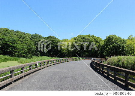 花菖蒲 菖蒲池 山田池公園 枚方市 枚方市駅 京阪沿線 京阪 京阪バス 菖蒲まつり 梅雨 散歩コース 花菖蒲 菖蒲池 山田池公園 枚方市 枚方市駅 京阪沿線 京阪 京阪バス 菖蒲まつり 梅雨 散歩コース 90680240