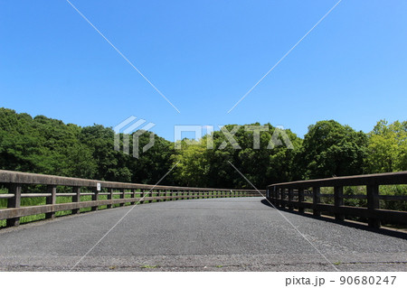 花菖蒲　菖蒲池　山田池公園　枚方市　枚方市駅　京阪沿線　京阪　京阪バス　菖蒲まつり　梅雨　散歩コース 90680247