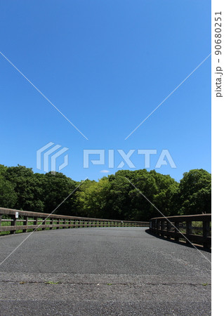 花菖蒲　菖蒲池　山田池公園　枚方市　枚方市駅　京阪沿線　京阪　京阪バス　菖蒲まつり　梅雨　散歩コース 90680251