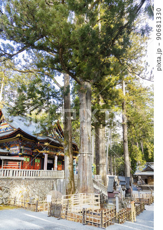 三峯神社　御神木と拝殿 90681330