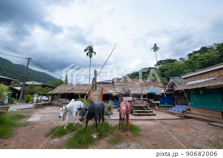 タイ北部のボークルア岩塩採掘場 90682006