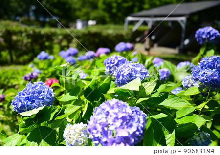 もりやま芦刈園 もりやま芦刈園 90683194