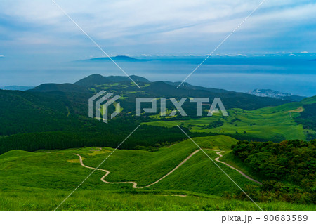 伊豆　稲取細野高原 90683589