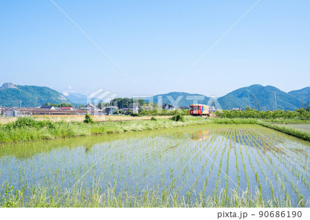 【樽見鉄道】水田を駆け抜ける列車 90686190