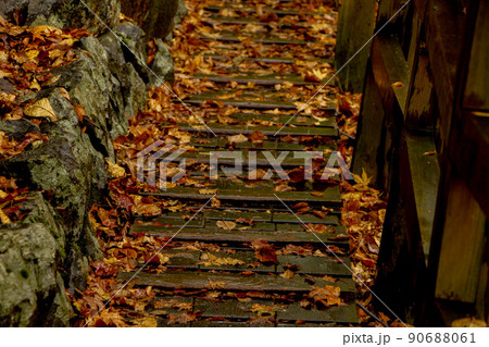 落ち葉の道 90688061