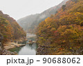 秋の渓谷 90688062