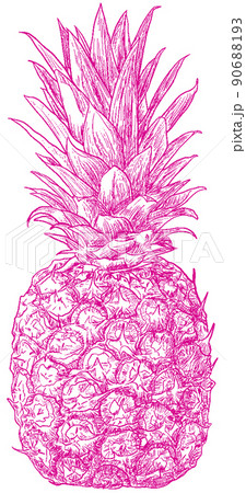 パイナップル　透過 90688193