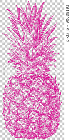 パイナップル　透過 90688193