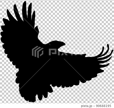 カラス　シルエット 90688195