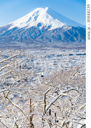 大雪が降った日の山梨県富士吉田市の冠雪した富士山 90688239