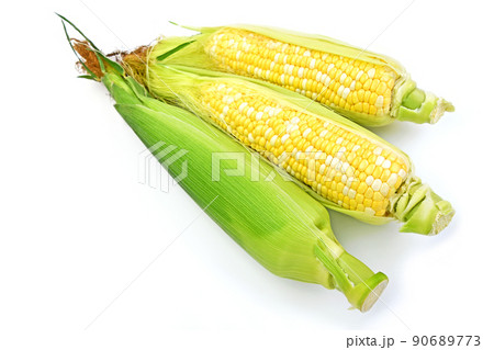 とうもろこし（ミルフィーユ） 90689773